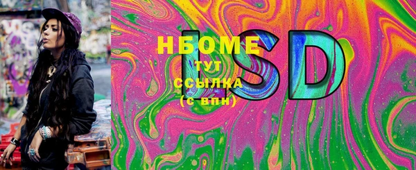 прущие грибы Беломорск