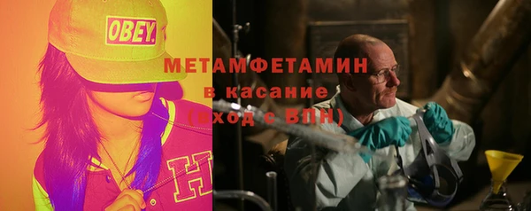 прущие грибы Беломорск