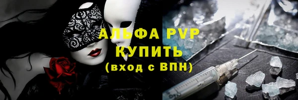 прущие грибы Беломорск
