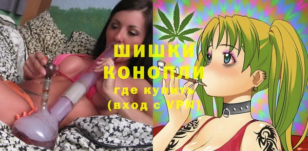 прущие грибы Беломорск