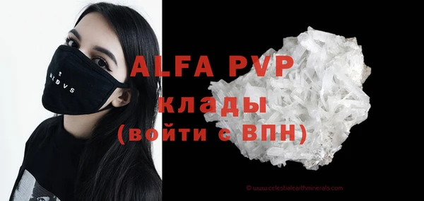 прущие грибы Беломорск