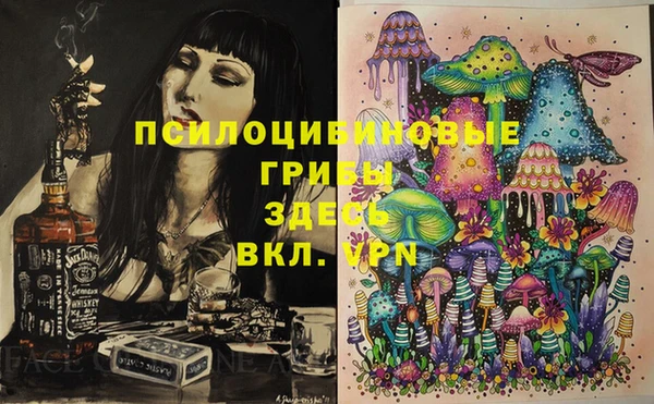 тгк Снежинск