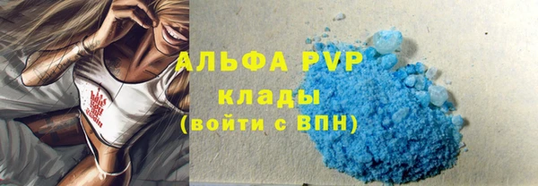 прущие грибы Беломорск