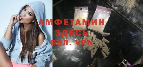 прущие грибы Беломорск