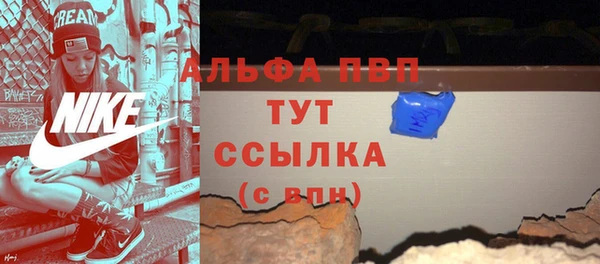 тгк Снежинск