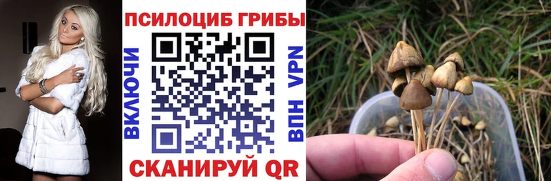 Псилоцибиновые грибы GOLDEN TEACHER  закладки  Высоковск 